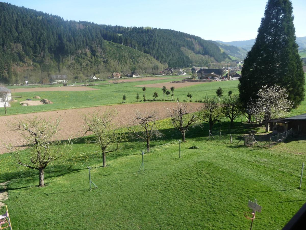 Lehmannshof Ferienwohnungen Zell am Harmersbach Exterior photo