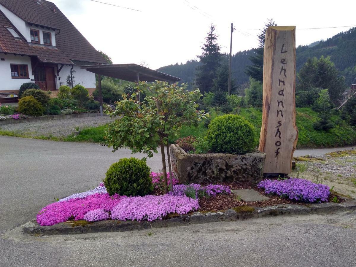 Lehmannshof Ferienwohnungen Zell am Harmersbach Exterior photo